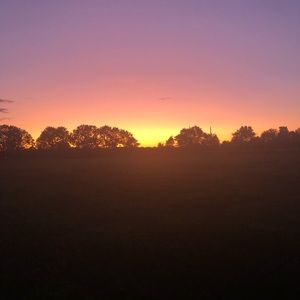 Meet your Posher, Claira